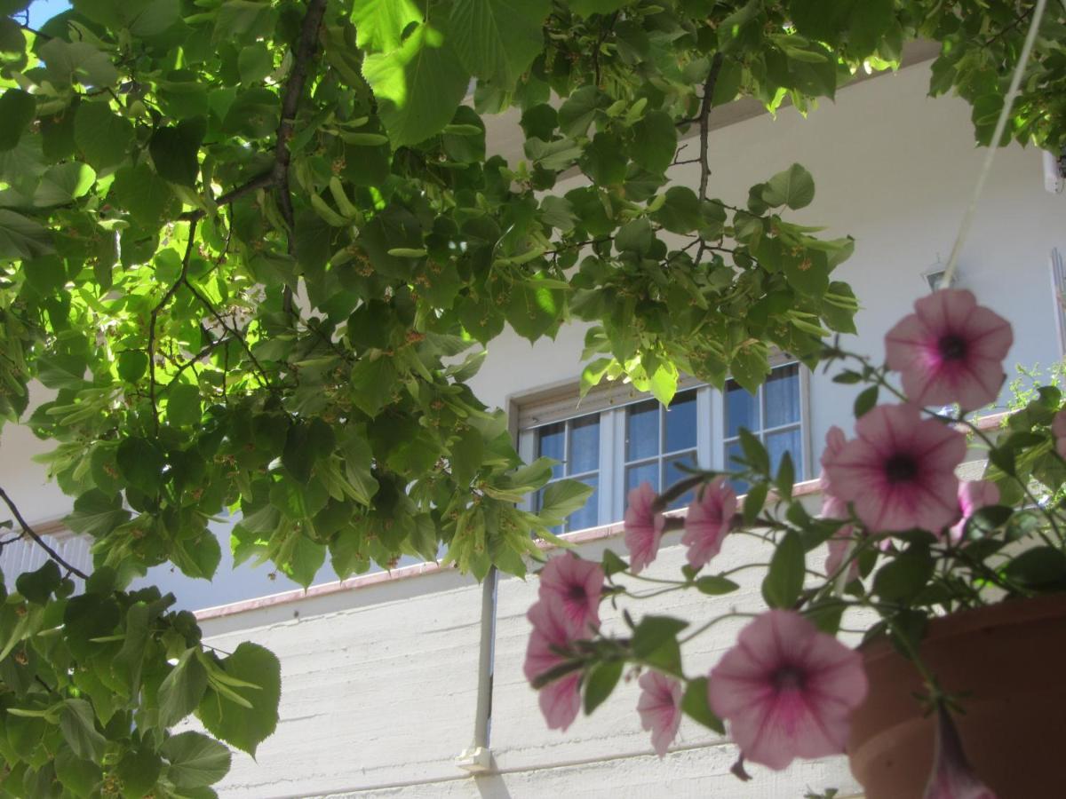 B&B Il Country E Il Mare Martinsicuro Exterior photo